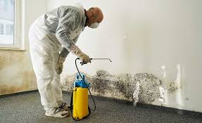 Magnet Cove, AR Mold Removal Services Company